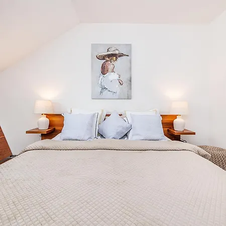 Designer Two-bedroom With Terrace Daire Prag