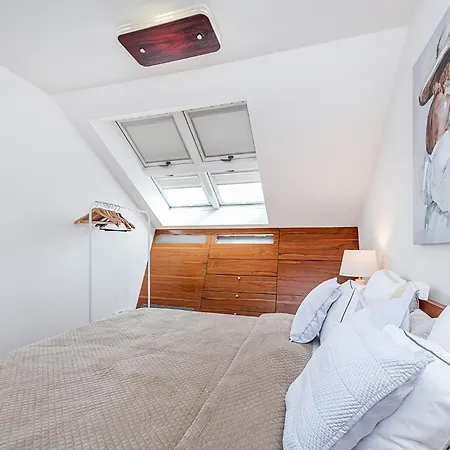 Daire Designer Two-bedroom With Terrace Prag